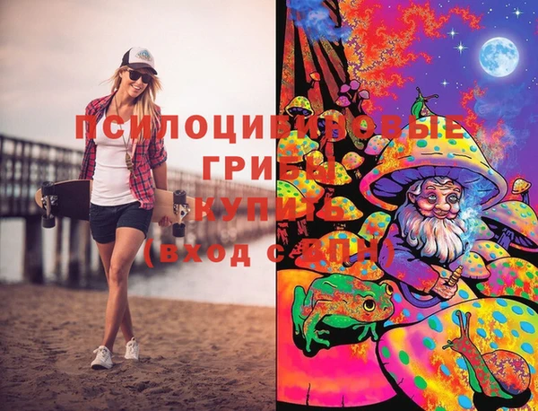 PSILOCYBIN Аркадак