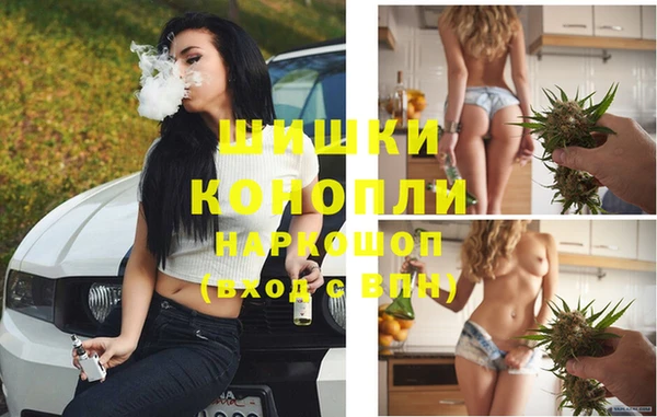 PSILOCYBIN Аркадак