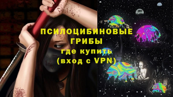 PSILOCYBIN Аркадак