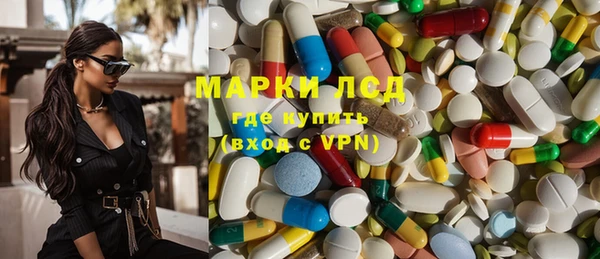 PSILOCYBIN Аркадак