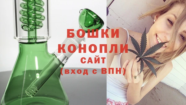 PSILOCYBIN Аркадак