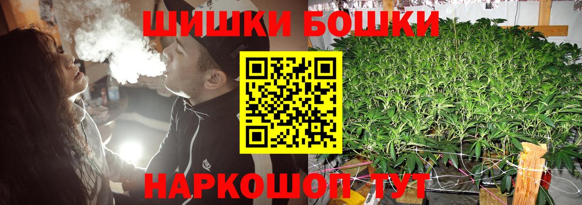 Каннабис сатива Архангельск